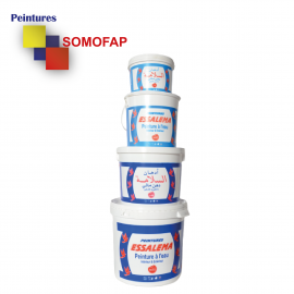 Peinture à l'eau ESSALEMA CLASS