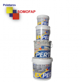 Peinture à l'eau les Experts